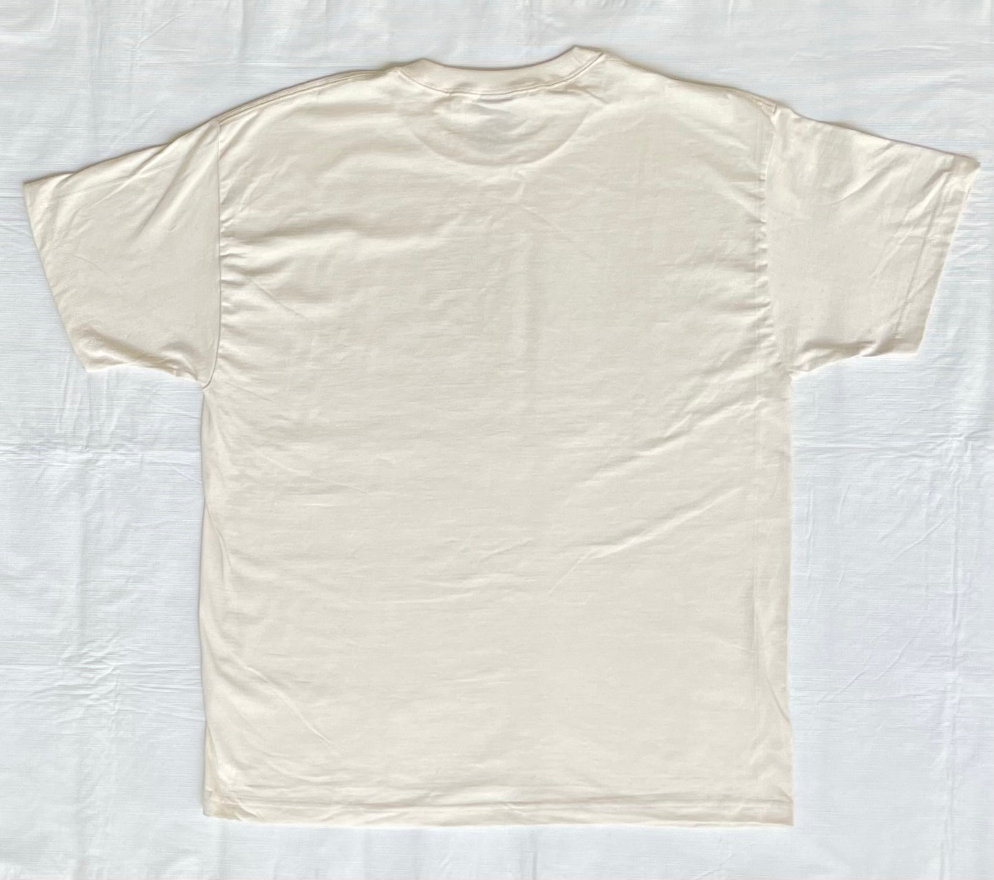 tour tee ( 2 colors)